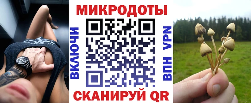 Купить  Рошаль  Псилоцибиновые грибы Cubensis 